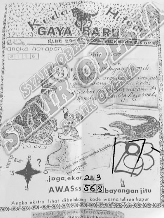SYAIR SGP VIP